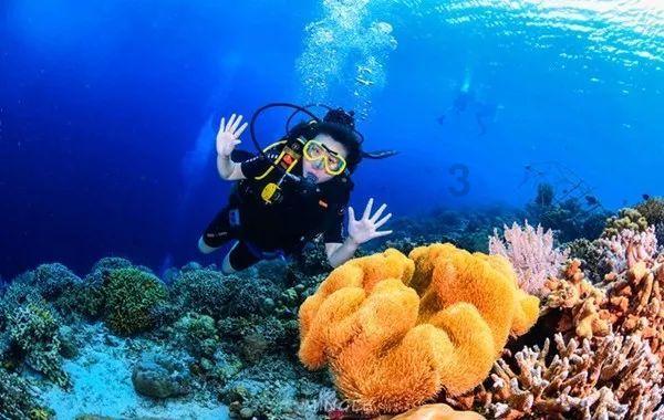 虫虫助手下载