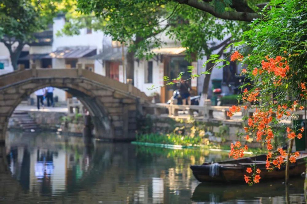 精灵的冒险之旅
